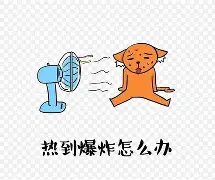 热传：樊振东亏损创英超纪录(樊振东缺席世乒赛2026原因)|EG电子登录